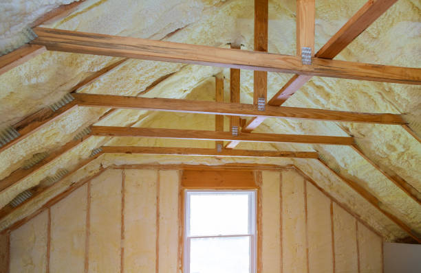 Best Insulation Removal  in Sunnyslope, WA