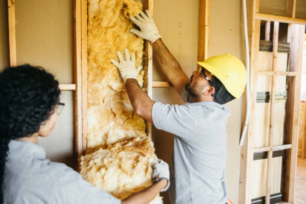 Best Crawl Space Insulation  in Sunnyslope, WA
