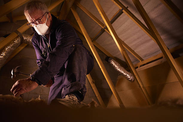 Best Professional Insulation Contractor  in Sunnyslope, WA
